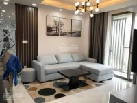 Chuyên Cho Thuê Căn Hộ Hưng Phúc, Phú Mỹ Hưng Quận 7, Giỏ Hàng Nhiều, đầy đủ 2pn Và 3pn 9
