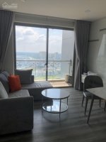 Chuyển Nhà Cần Bán Gấp Căn Hộ An Gia Skyline, Nhà đẹp, Tầng Cao, Nội Thất Cao Cấp, Giá Tốt 7