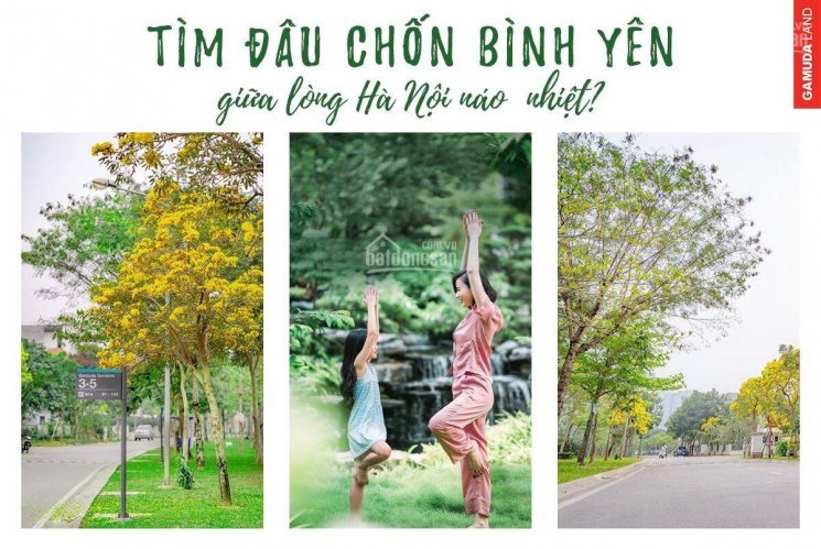 Còn 6 Lô Liền Kề Gamuda City Giá Từ 85tr/m2 4