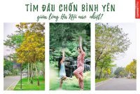 Còn 6 Lô Liền Kề Gamuda City Giá Từ 85tr/m2 12