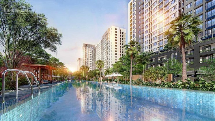 đẳng Cấp Nhất Q 12, Tp Hcm Chỉ Có ở Căn Hộ Picity High Park Cao Cấp 4 Sao Chuẩn Singapore 2