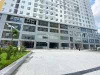 đăng Ký Tham Quan Nhà Thực Tế Dự án Diamond Riverside - Quận 8 Chỉ 2 Tỷ/ Căn 2 Phòng Ngủ 10