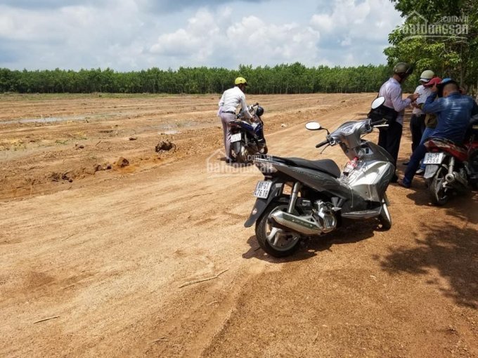 đất Lộc Ninh Sào 1000m2 Giá Chỉ 150 Triệu Cần Bán Gấp Chính Chủ đường ô Tô Thoải Mái