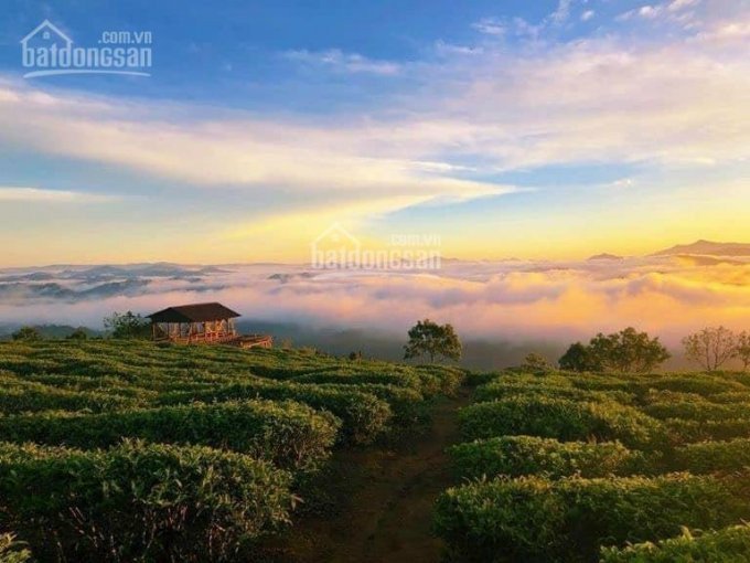 đất Nền Bảo Lộc - đã Có Sổ - Sang Tên Công Chứng Trong Ngày - Sở Hữu Ngay Chỉ Hơn 150 Triệu 2