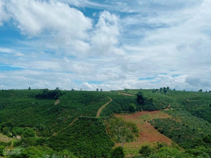 đất Nền Dự án Thị Trấn Di Linh, Thanh Toán 200tr Công Chứng Sang Tên, Sổ Riêng Lên Thổ 3