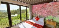 đất Nghỉ Dưỡng Trung Tâm Lâm đồng, Giá Chỉ 220 Triệu, View Tuyệt đẹp, Giá Rẻ Nhất Khu Vực, Gọi Ngay 7