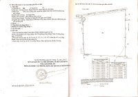 đất Nông Nghiệp Mt đường Xe Hơi, Hiệp Phước, Nhà Bè 2