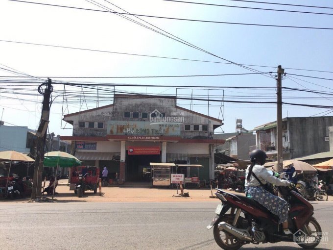 đất Trảng Bom Ngay Khu Công Nghiệp Bàu Xéo, Chỉ Với 196 Sở Hữu đất Sổ Riêng, Thổ Cư 100%,0908006606 5