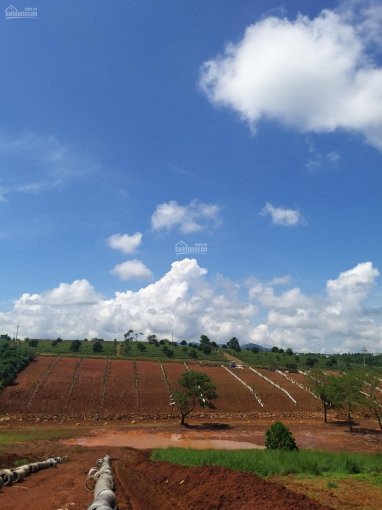 đầu Tư Dễ Dàng, Thanh Toán Nhẹ Nhàng Từ đất Nền Bảo Lộc Park Hill,