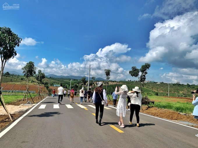 đầu Tư Dễ Dàng, Thanh Toán Nhẹ Nhàng Từ đất Nền Bảo Lộc Park Hill, 3