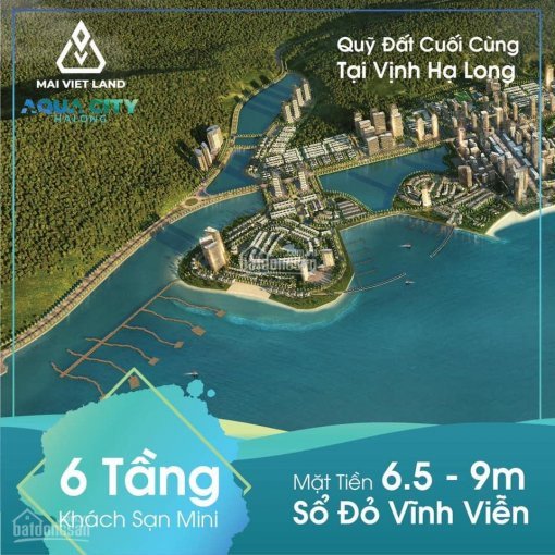 độc Quyền Suất Ngoại Giao Shoptel Aqua City Hạ Long Mặt Biển Sổ đỏ, Vốn Chỉ 19 Tỷ Giá Gốc Cđt 3