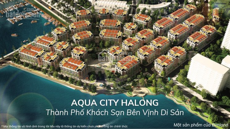 độc Quyền Suất Ngoại Giao Shoptel Aqua City Hạ Long Mặt Biển Sổ đỏ, Vốn Chỉ 19 Tỷ Giá Gốc Cđt 1