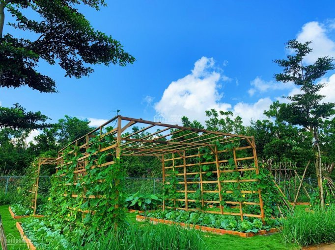 đón Ngay Siêu Phẩm đất Nền Tháng 10_shr_thanh Toán 13 Tháng Không Lãi_cơ Hội Sinh Lời