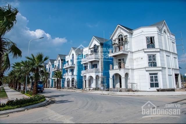 đơn Vị Chuyên Cho Thuê Shop Chân đế, Shop House, Biệt Thự, Liền Kề Dự án Vh Ocean Park Gia Lâm 3