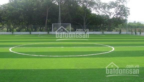 Kẹt Tiền Bán (40x50)=2000m2 Thổ Cư, Ngay Ql đối Diện Trường Học, Kcn, Chợ, Giá 580tr 5