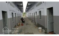 Lái Thiêu Bình đức 300m2 Có 50 Căn Nhà Cho Sinh Viên Và Công Nhân 7