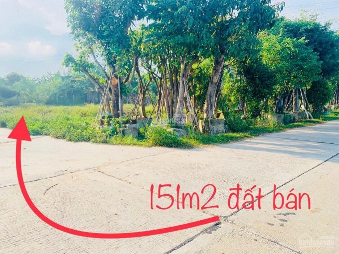 Lô đất 151m2 Chỉ Cách ủy Ban Hòa Khương 200m, Giá Chỉ 735 Triệu, Rẻ Quá Rẻ 8