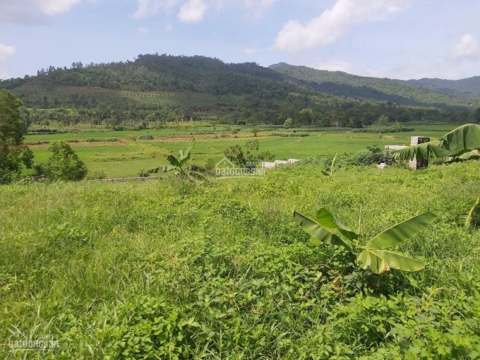 Lô đất Vàng Trong Làng Nghỉ Dưỡng Cực Phẩm Tuyệt đẹp Tại Yên Bài, Ba Vì, Hà Nội 2