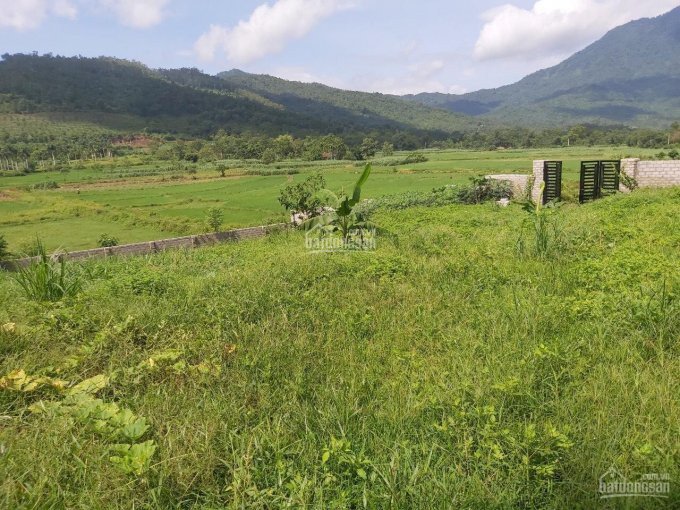 Lô đất Vàng Trong Làng Nghỉ Dưỡng Cực Phẩm Tuyệt đẹp Tại Yên Bài, Ba Vì, Hà Nội 3