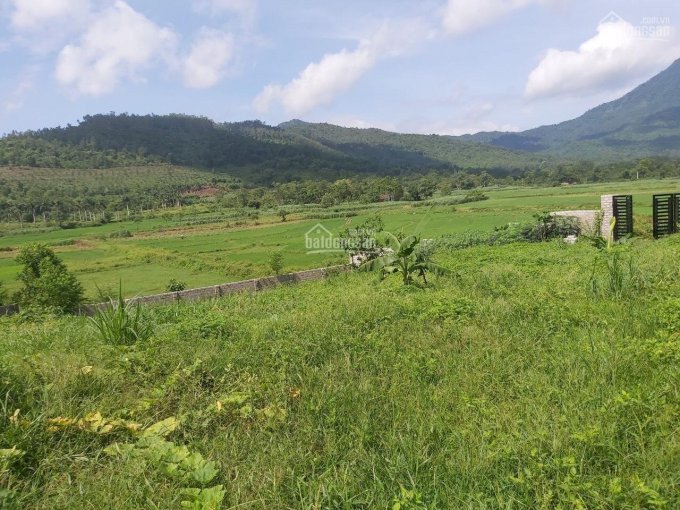 Lô đất Vàng Trong Làng Nghỉ Dưỡng Cực Phẩm Tuyệt đẹp Tại Yên Bài, Ba Vì, Hà Nội 4