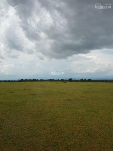 Lô đất  Vườn Hồng Thái Nằm Giữa Kênh Nước Và Hai Tuyến đường Liên Huyện, Có Sổ Sẵn Yên Tâm Pháp Lý 2