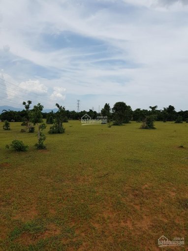 Lô đất  Vườn Hồng Thái Nằm Giữa Kênh Nước Và Hai Tuyến đường Liên Huyện, Có Sổ Sẵn Yên Tâm Pháp Lý 5