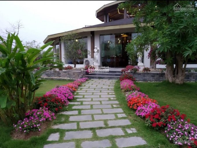 Mở Bán Dự án Paradise đại Lải Resort, Prince Villa, Khu Lô 9d9, Lh: 0945172489