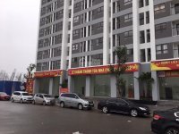 Mở Bán Tòa Ct1b Quỹ Căn đẹp Nhất Dự án Chỉ Với 300 Triệu/căn-0978380390 11