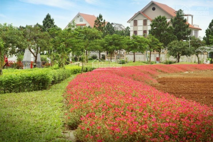 Nhượng Lại Căn Góc 212m2 Biệt Thự The Phoenix Garden Giá Tốt Nhất Thị Trường, Mặt đường 135m