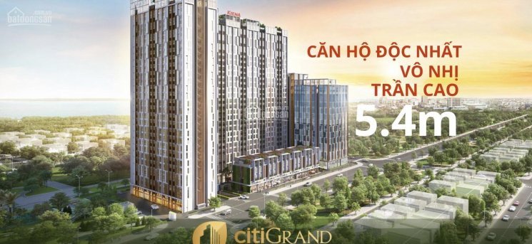 Tại Sao Phải đầu Tư Căn Hộ Citigrand Quận 2 4