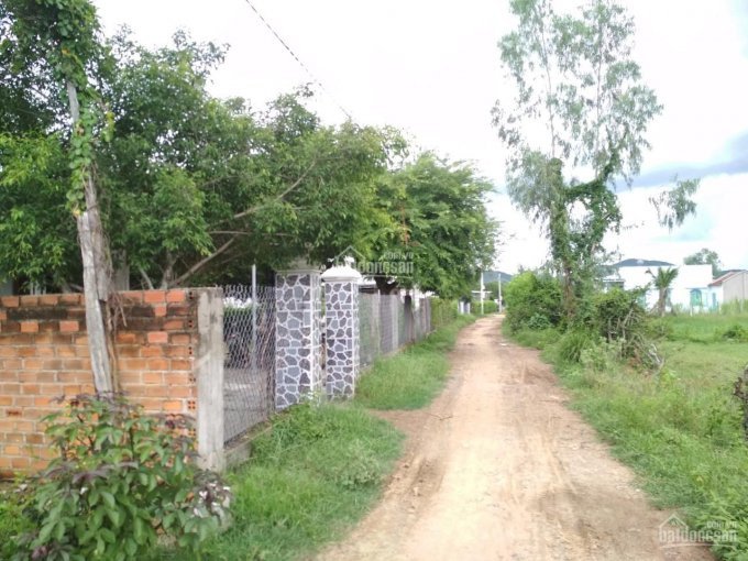 Tân Mỹ Ninh Xuân 30,5m Ngang Dài 26m 3