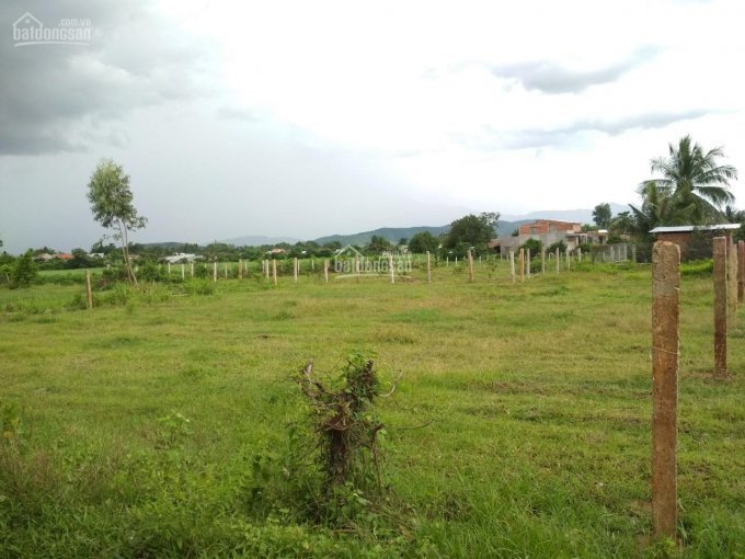 Tân Mỹ Ninh Xuân 30,5m Ngang Dài 26m 5