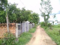 Tân Mỹ Ninh Xuân 30,5m Ngang Dài 26m 8