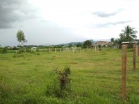 Tân Mỹ Ninh Xuân 30,5m Ngang Dài 26m 10
