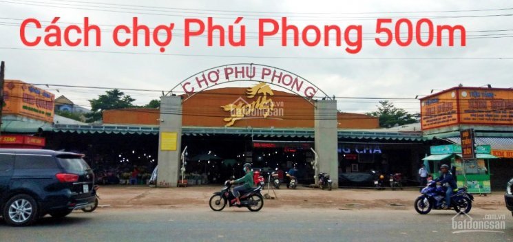 Thời Cơ Vàng - Nắm Bắt Cơ Hội đầu Tư Sinh Lời đất Thuận An 5