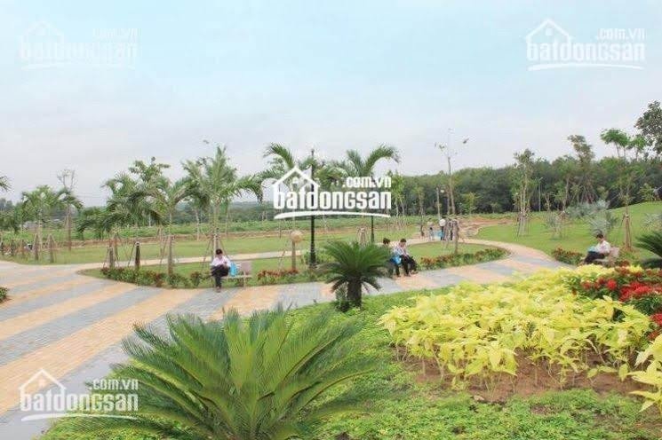 Tôi Bán đất 100m2 Khu D2d, Tp Biên Hòa, Giá 800tr Shr Thổ Cư 100% Dân Cư đông, Lh 0931512316 2