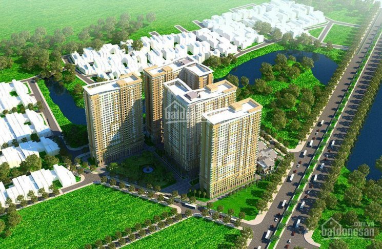 Tôi Cần Bán Lại Ch Lầu 19 Dự án Diamond Riverside, Dt 72m2, Giá 188 Tỷ, Miễn Trung Gian 0938096490