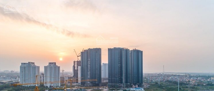 Tổng Hợp Giá Sunshine City (1pn; 2pn; 2pn + 1đn; 3pn) - Cắt Lỗ - Ngoại Giao Cđt Rẻ Nhất Tháng 10 13