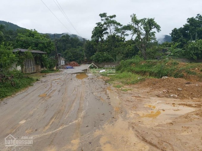 Yên Bài Vị Trí đắc địa Lô đất Tuyệt Vời Thế đất Cao Thoáng 6000m2 Giá đầu Tư : Lh : 096 469 6068 /