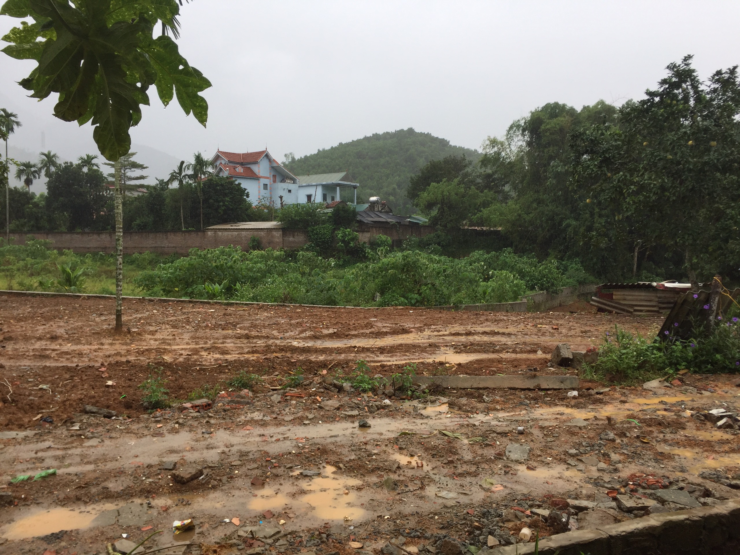 Cần bán Đất đường Tỉnh Lộ 446, Xã Yên Bình, Diện tích 989m², Giá 3 Triệu/m² 2