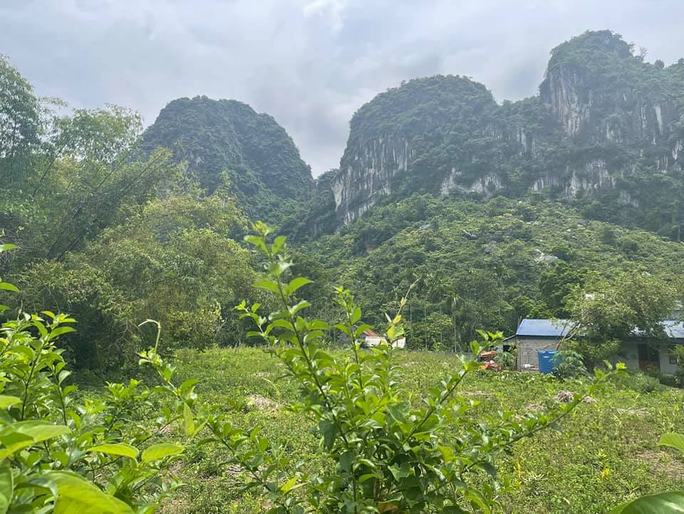 Cần bán Đất đường Liên Xã, Xã Long Sơn, Diện tích 2100m², Giá 1800 Triệu - LH: 0987600738 3