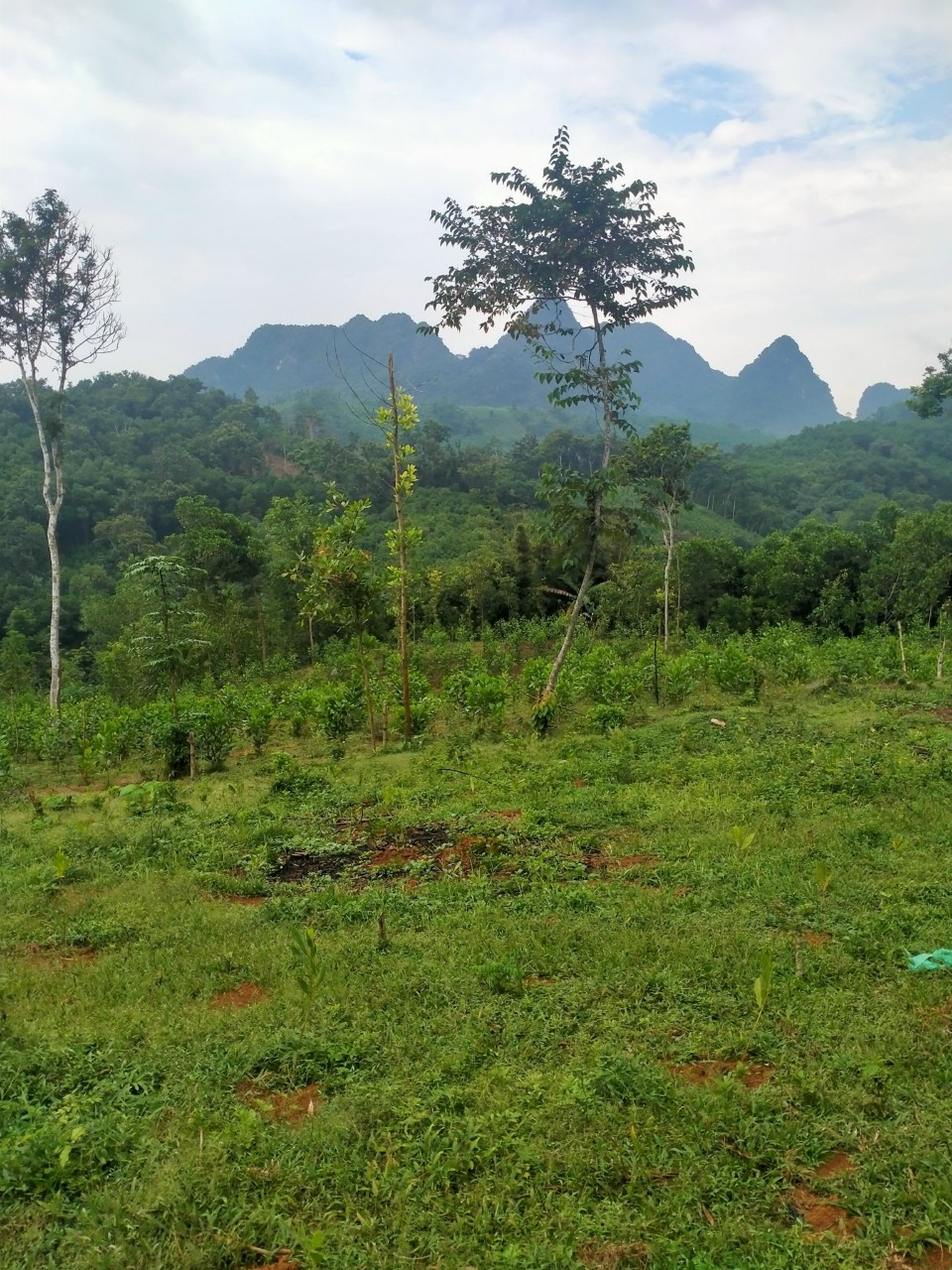 Cần bán đất giá tốt, Xã Kim Sơn, Diện tích 1800m², Giá Thương lượng - LH: 0705485999 2