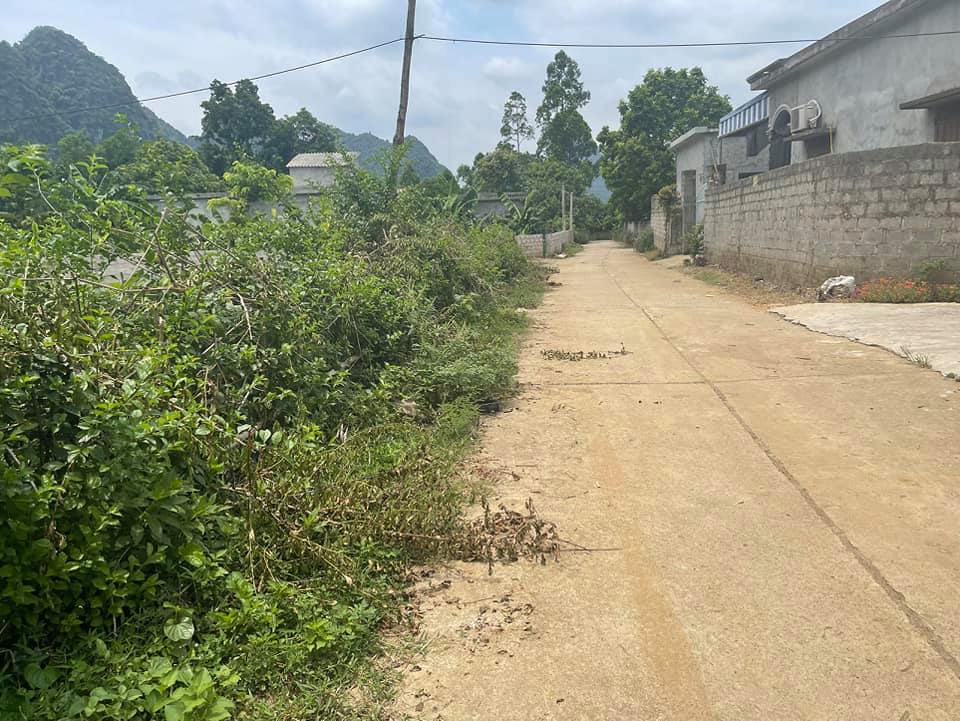 Cần bán Đất đường Liên Xã, Xã Long Sơn, Diện tích 2100m², Giá 1800 Triệu - LH: 0987600738