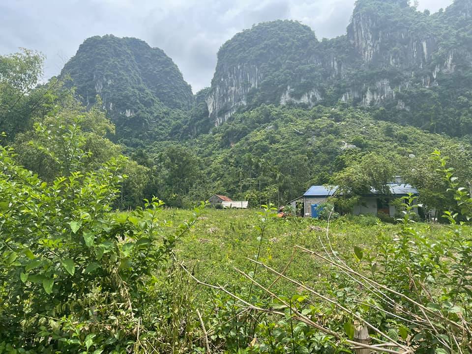 Cần bán Đất đường Liên Xã, Xã Long Sơn, Diện tích 2100m², Giá 1800 Triệu - LH: 0987600738 4