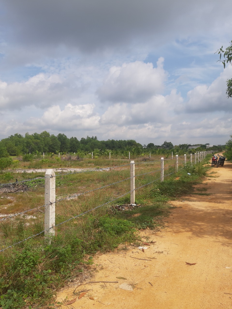 Cần bán Đất đường 55, Xã Tân Phước, Diện tích 3000m², Giá Thương lượng - LH: 0988609571