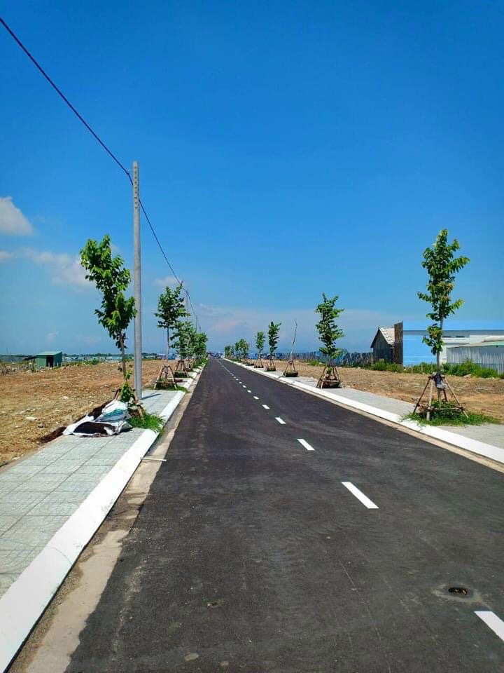 Cần bán Đất nền dự án dự án Khu dân cư Long Điền, Diện tích 100m², Giá 1,400000 Tỷ - LH: 0906682171 3