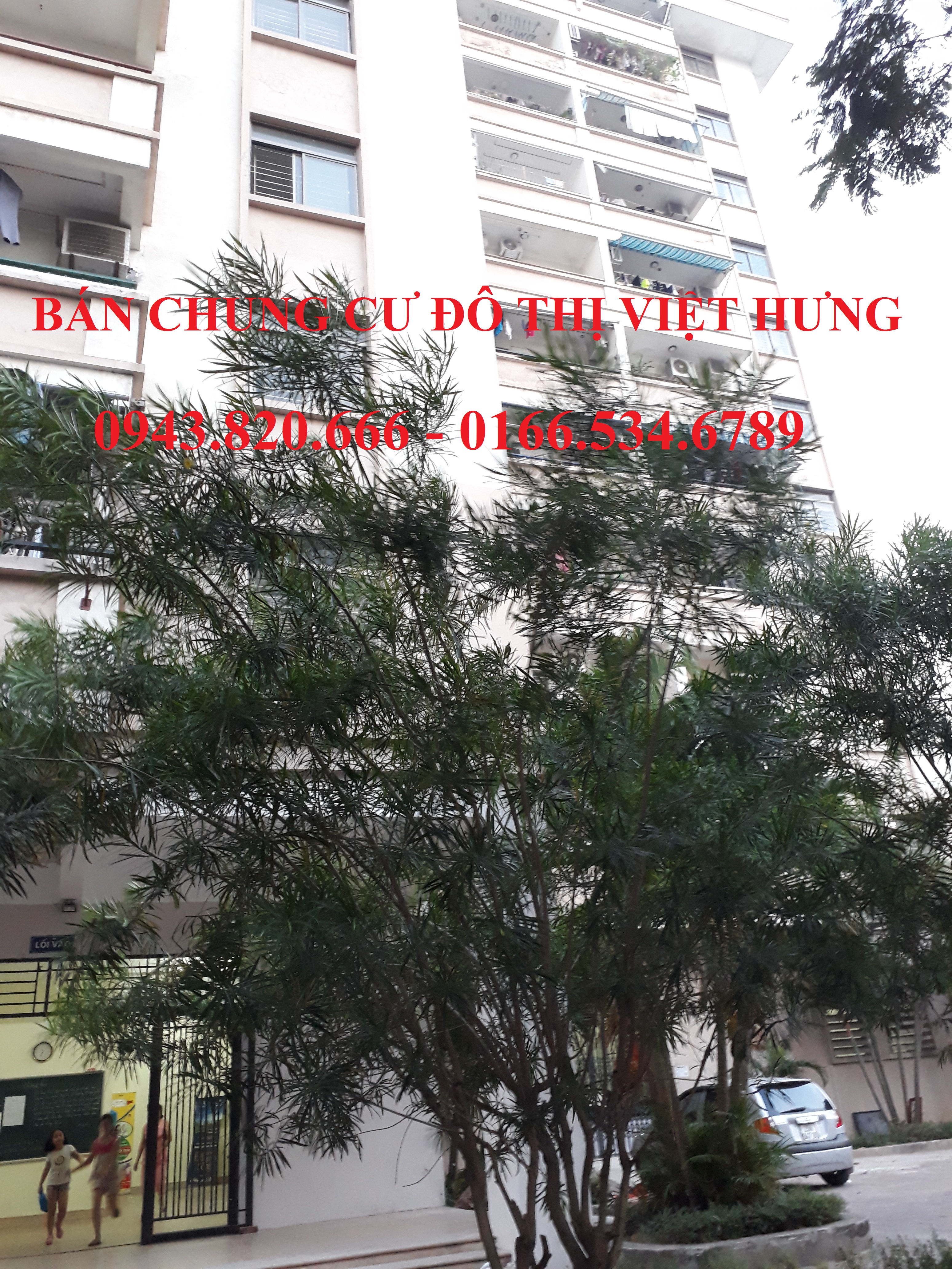 Cần bán Căn hộ chung cư đường Thép Mới, Phường Giang Biên, Diện tích 98m², Giá Thương lượng - LH: 0943820666 1
