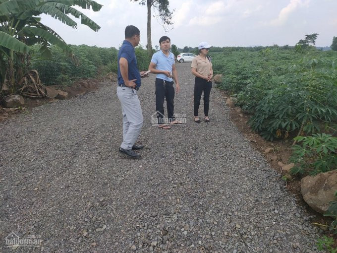 1000m2 Cây Lâu Nămgiá Chỉ 700trđất Sào Hưng Thịnh Cách đường Nhựa 20 Chỉ 220m 2