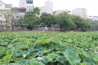 Bán Nhà Phố Phương Liệt Lô Góc, Thanh Xuân, 56m2 Giá 4 Tỷ 6