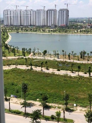 Biệt Thự 200m2 Khu Thanh Hà Cienco 5 Giá Rẻ 3